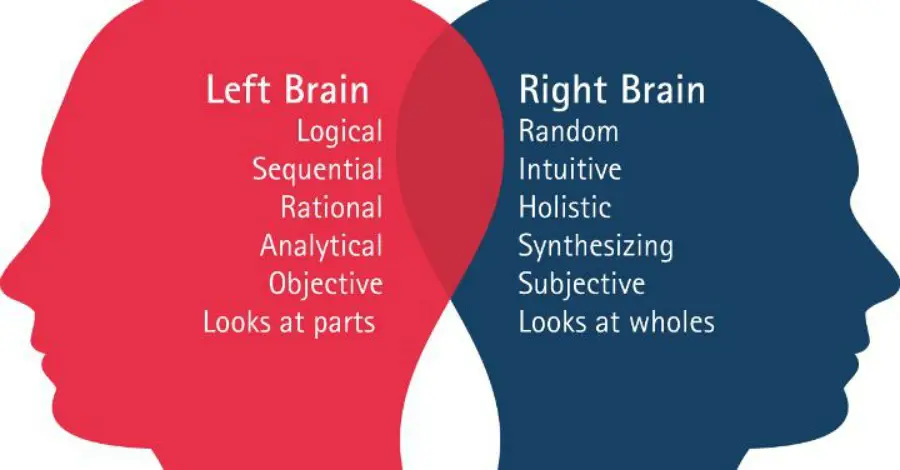 Left And Right Brain Activation Sound