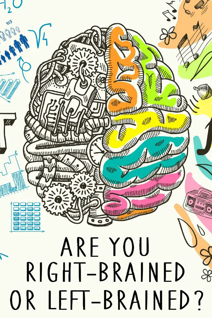 Are You Right Brained or Left Brained? HealthPositiveInfo
