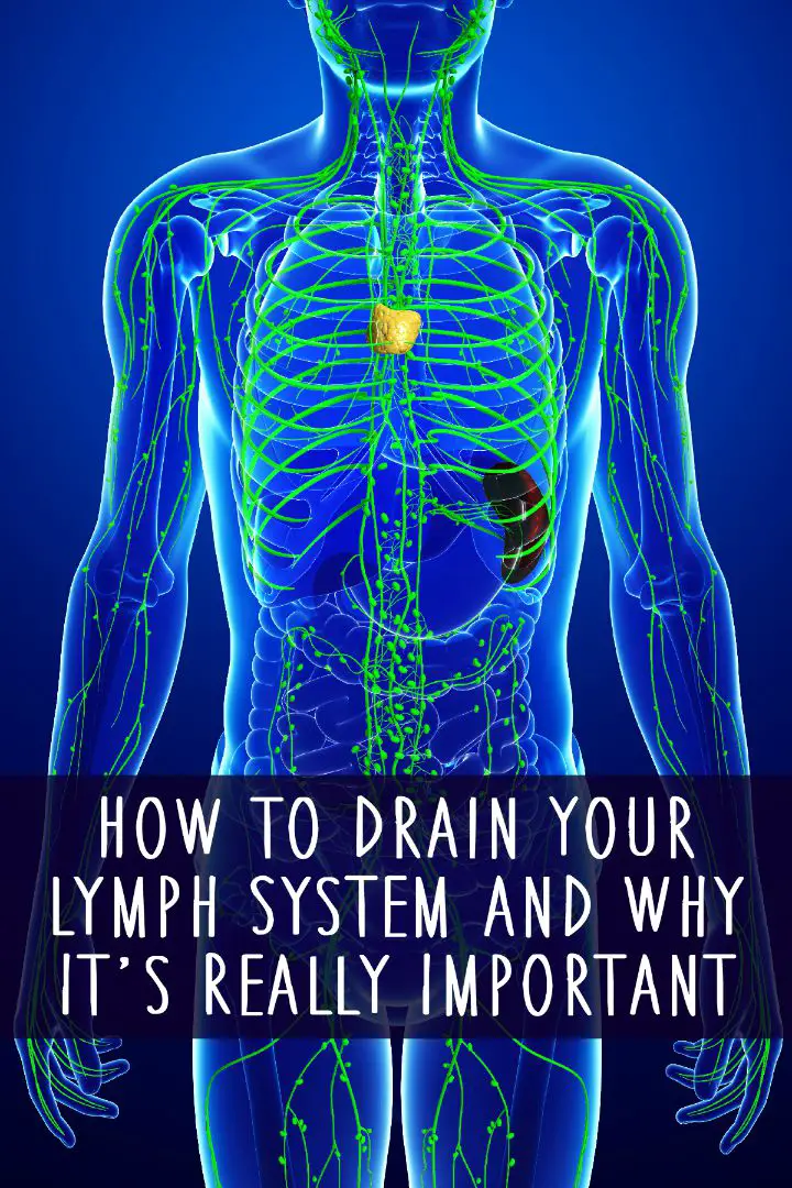 How to Drain Your Lymphatic System and Why It's Important