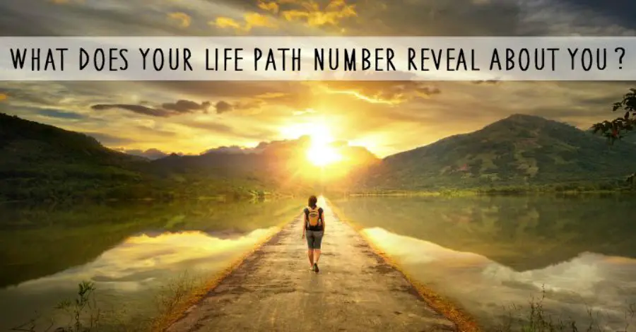 calculate numerology life path number